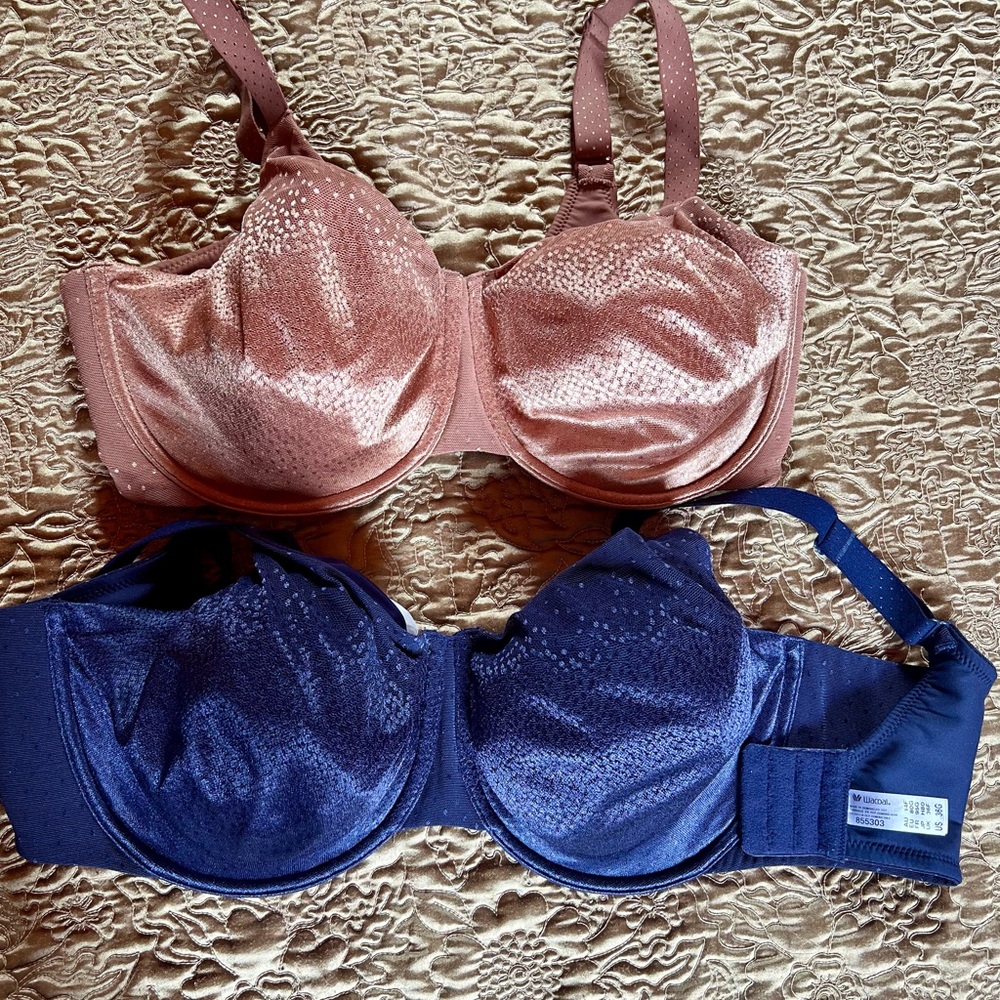 Copper color and Blue Bra wacoal Intimates & Sleepwear Collection